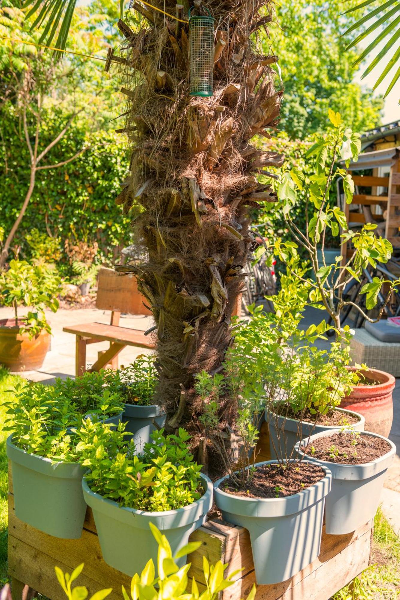 Tiny House - Leenfietsen, Eigen Keuken En Badkamer Ναϊμέγκεν Εξωτερικό φωτογραφία
